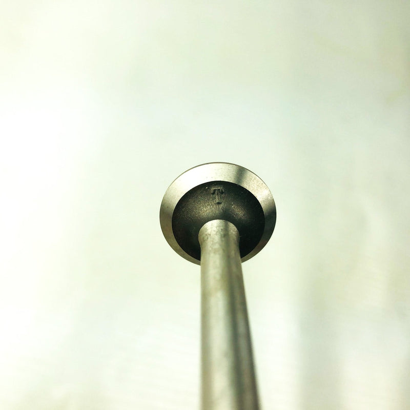 Briggs and Stratton 494187 Exhaust Valve Genuine OEM New Old Stock BS-260442 8