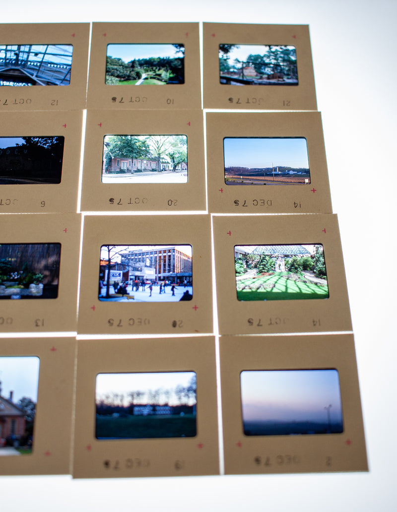 Vintage 35mm Photo Transparency Slides - Longwood Garden 1975 | Lot of 60