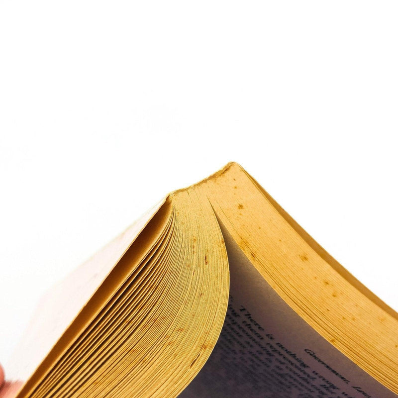 The Good Society Paperback Robert N. Bellah 1992 Economic Social Norms Culture 9