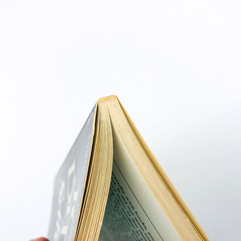 Salvador SC Joan Didion 1983 El Salvador Visit 1980s Fear Political Repression 9