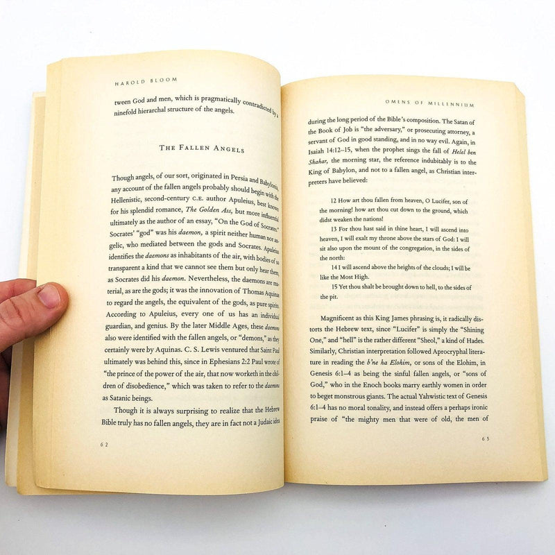 Omens of Millennium Paperback Harold Bloom 1996 Gnosticism Dreams Angel Religion 8