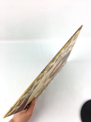 Linda Ronstadt Don't Cry Now Record 33 RPM LP SD 5064 Asylum Records 1973 5