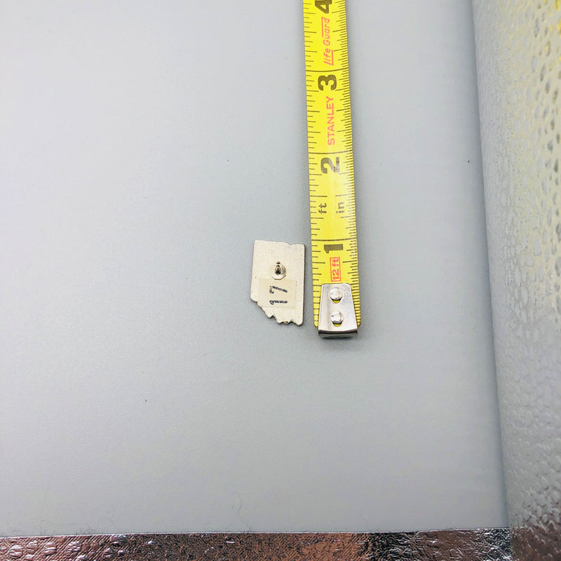 Indiana State Lapel Pin Pinback Souvenir Tourist Indy Car Indianapolis Motor