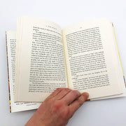 A New World Hardcover Amit Chaudhuri 2000 India Child Custody Father Sons 9