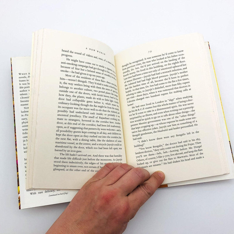 A New World Hardcover Amit Chaudhuri 2000 India Child Custody Father Sons 9