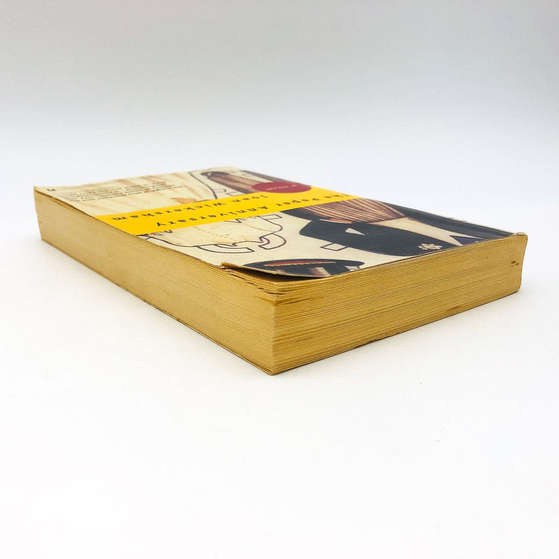 The Paper Anniversary Paperback Joan Wickersham 1995 Marriage Love Romance 5