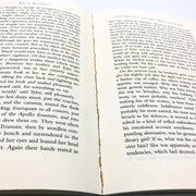 Incidents In The Rue Laugier Hardcover Anita Brookner 1996 Affair Betrayal Ex Li 10