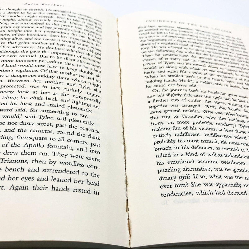 Incidents In The Rue Laugier Hardcover Anita Brookner 1996 Affair Betrayal Ex Li 10