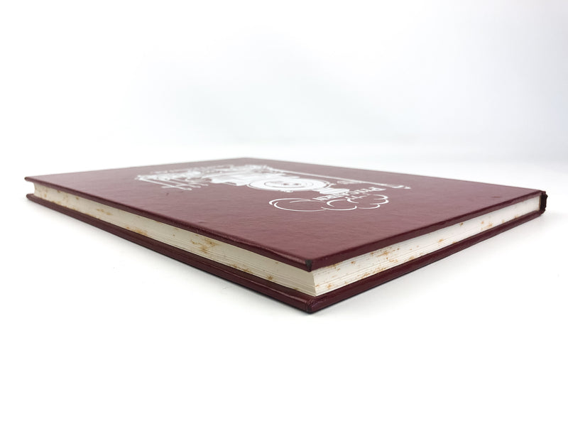 Pitcairn Centennial 1894-1994 Alleghany Pennslyvania Railroad Train Town History