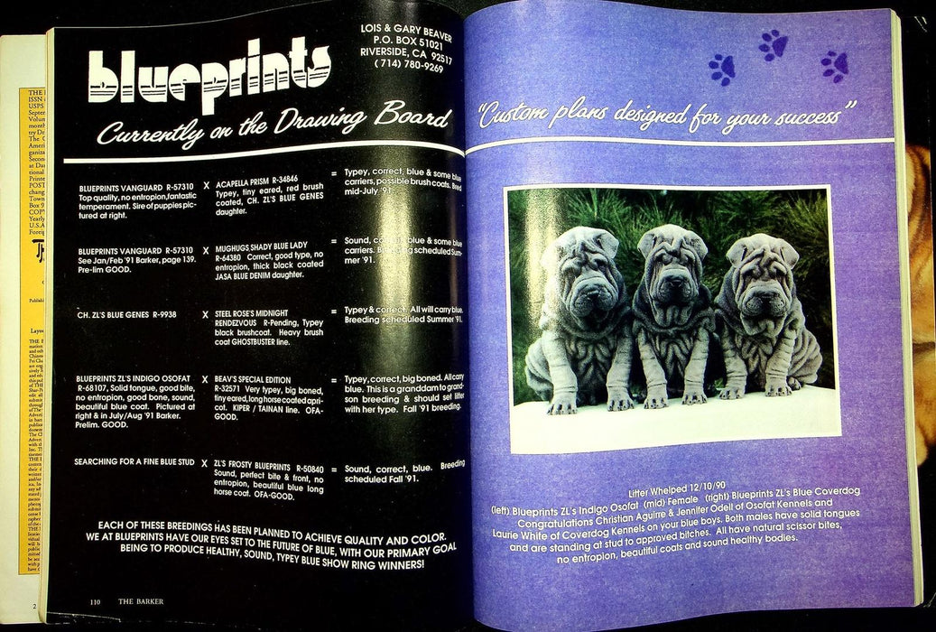 The Barker Magazine Sept Oct 1991 Shar-Pei Dog Ileitus Diagnosis AKC News Cancer