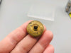 New York Police Button Sicillum Civitatis Novi Eboraci 1664 Waterbury Company 5