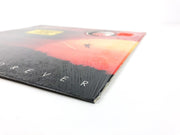 Air Supply Now and Forever Record AL 9587 Arista 1982 "Even the Nights..." 5