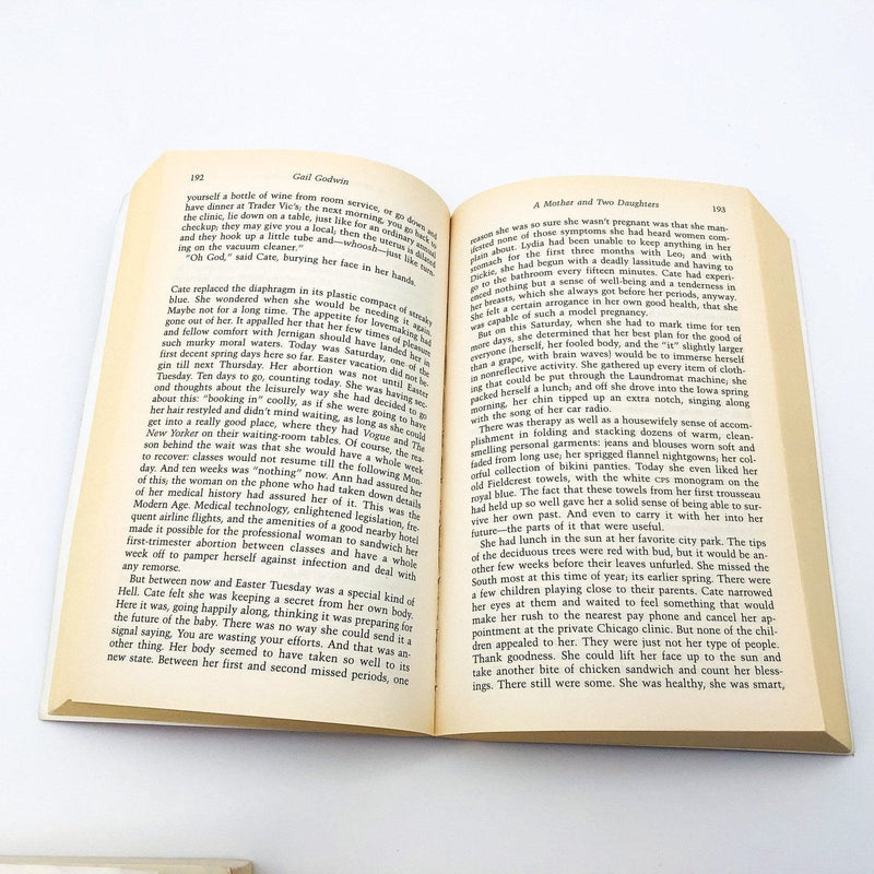 The Good Husband Paperback Gail Godwin 1994 Book Lot of 5 Books Violent Clay 12