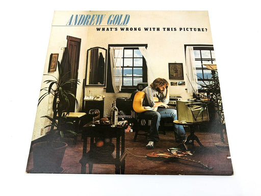 Andrew Gold What's Wrong With this Picture? Vinyl Record LP 7E-1086 Elektra 2