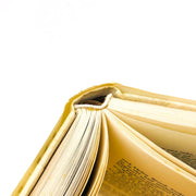 The Veiled One Hardcover Ruth Rendell 1988 1st Edition Psychological Mystery 11