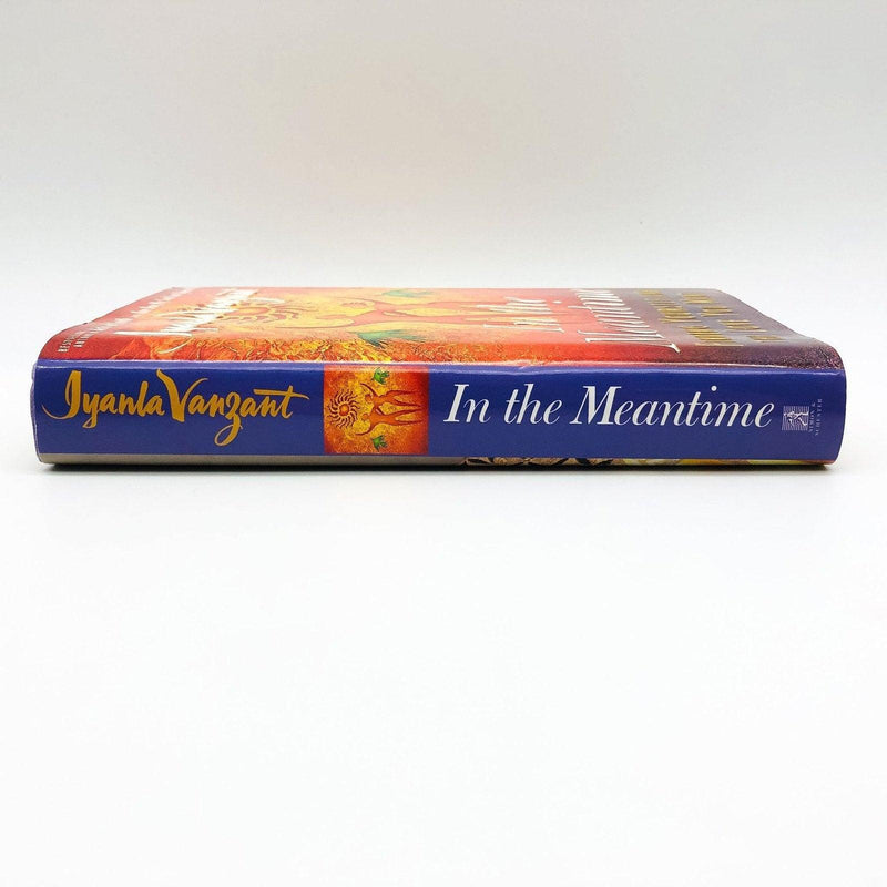 In The Meantime Hardcover Iyanla Vanzant 1998 Religious Man Woman Relationships 3