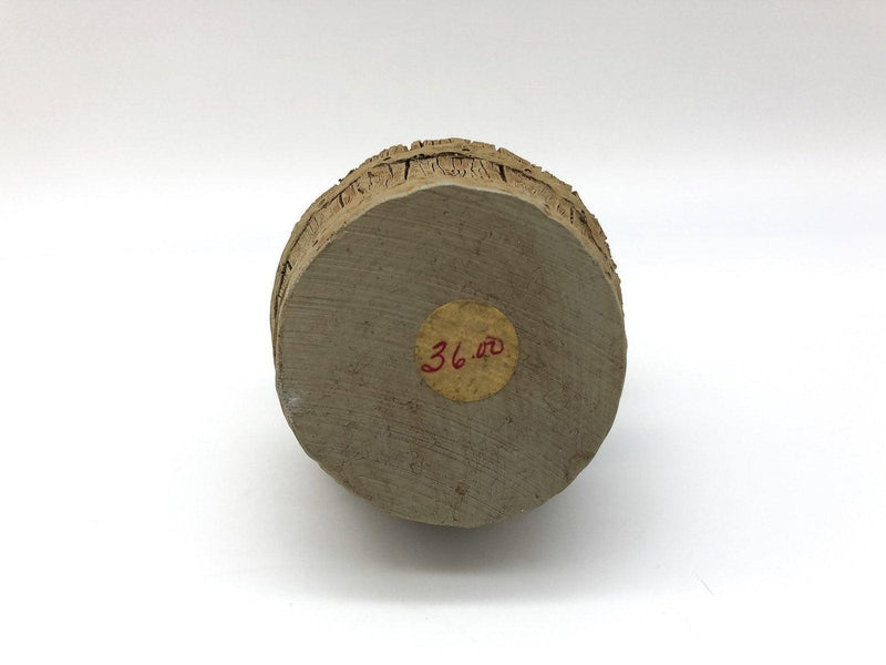 All Gods Children Figurine Bean Little Boy Resin Statue Clear Water Holcombe COA 9