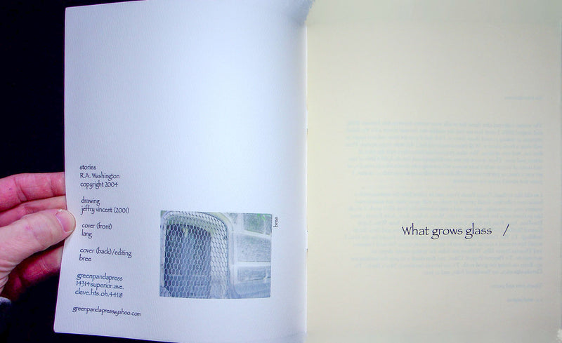 What Grows Glass Zine Stories R A Washington Cleveland Ohio Writer 2004 DIY