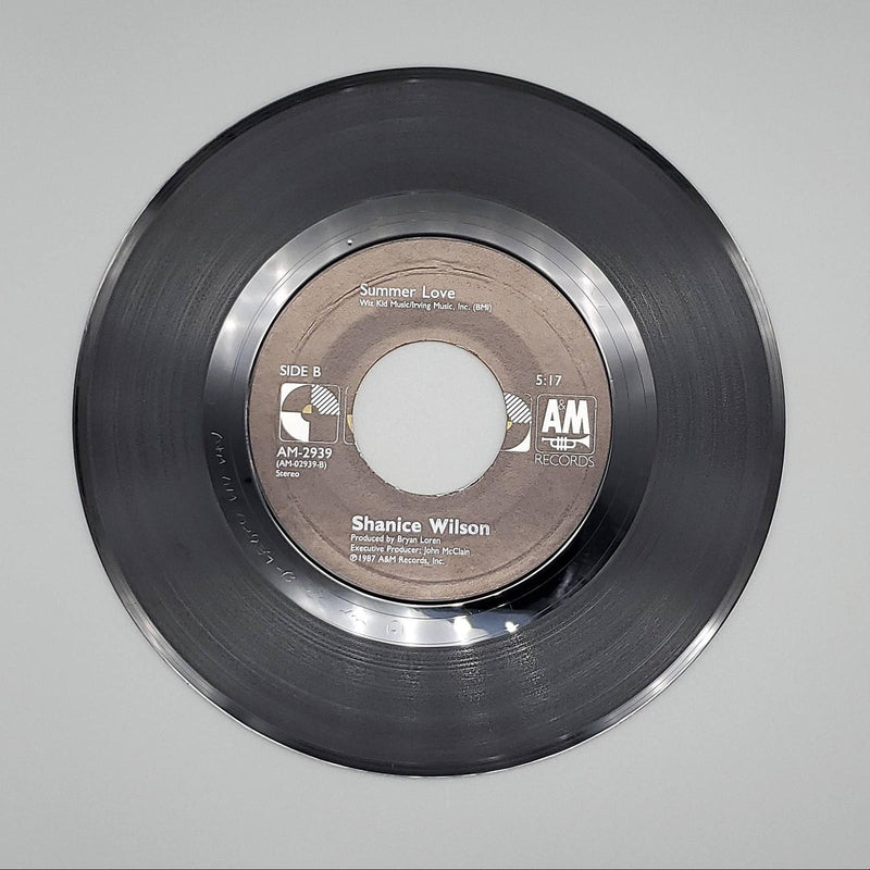 Shanice Wilson Baby Tell Me Can You Dance Single Record A&M 1987 AM-2939 2