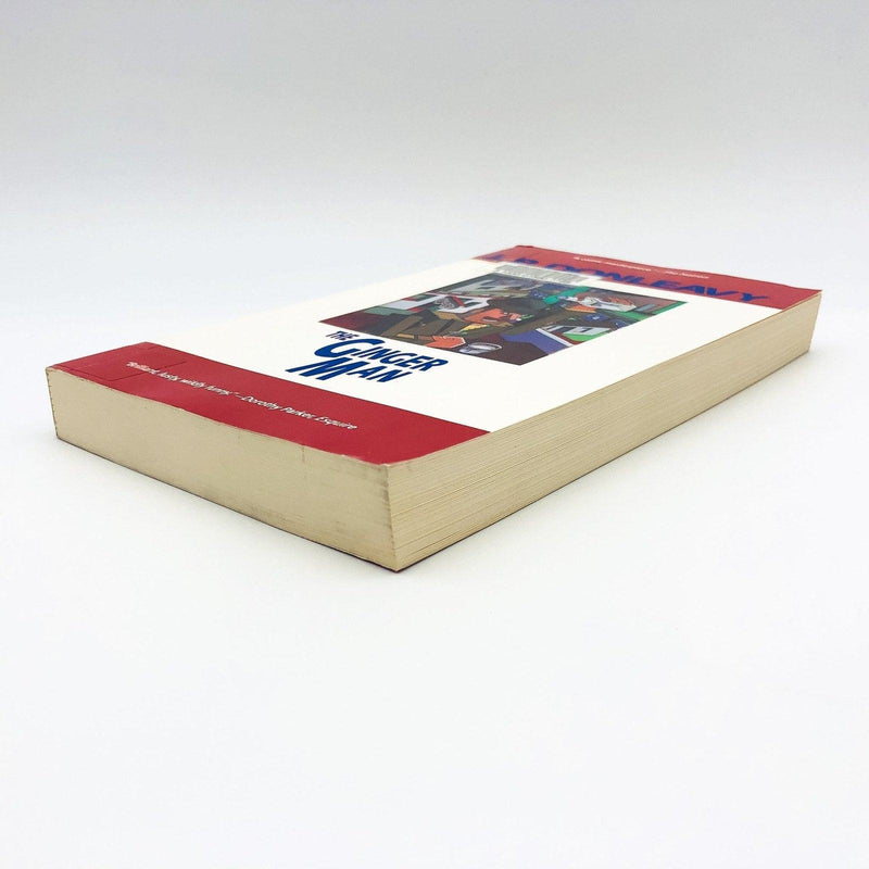 The Ginger Man Paperback J P Donleavy 1988 WW2 Ireland US College Student Ex Lib 4