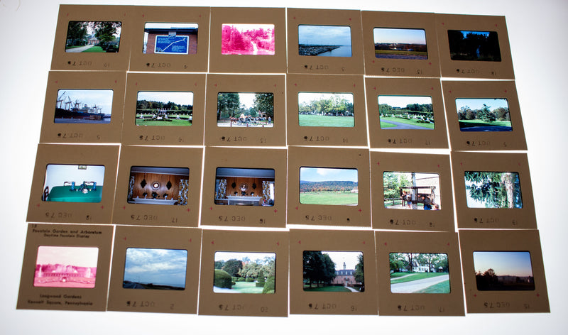 Vintage 35mm Photo Transparency Slides - Longwood Garden 1975 | Lot of 60