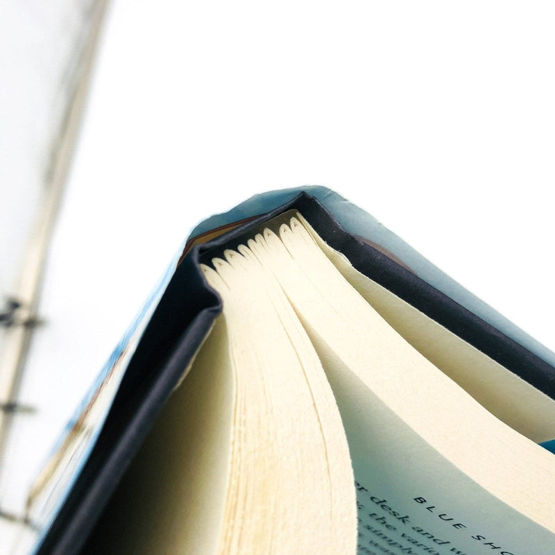 Blue Shoes And Happiness Hardcover Alexander McCall Smith 2006 Ladies Detective 10