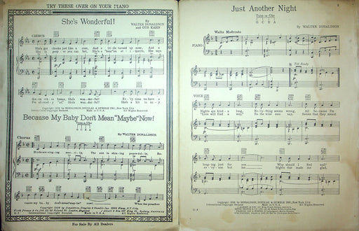 Sheet Music Just Another Night Grace LaRue Walter Donaldson 1928 Waltz Piano 2