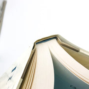 Adam And Eve And Pinch Me Hardcover Ruth Rendell 2001 Serial Killer London 1st E 10