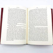 Away HC Amy Bloom 2007 Russian Girl America Immigrant Survival 1st Edition 9