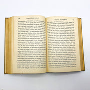 Beacon Lights Of History Vol 2 II HC John Lord LL. D. 1921 History Lectures 8