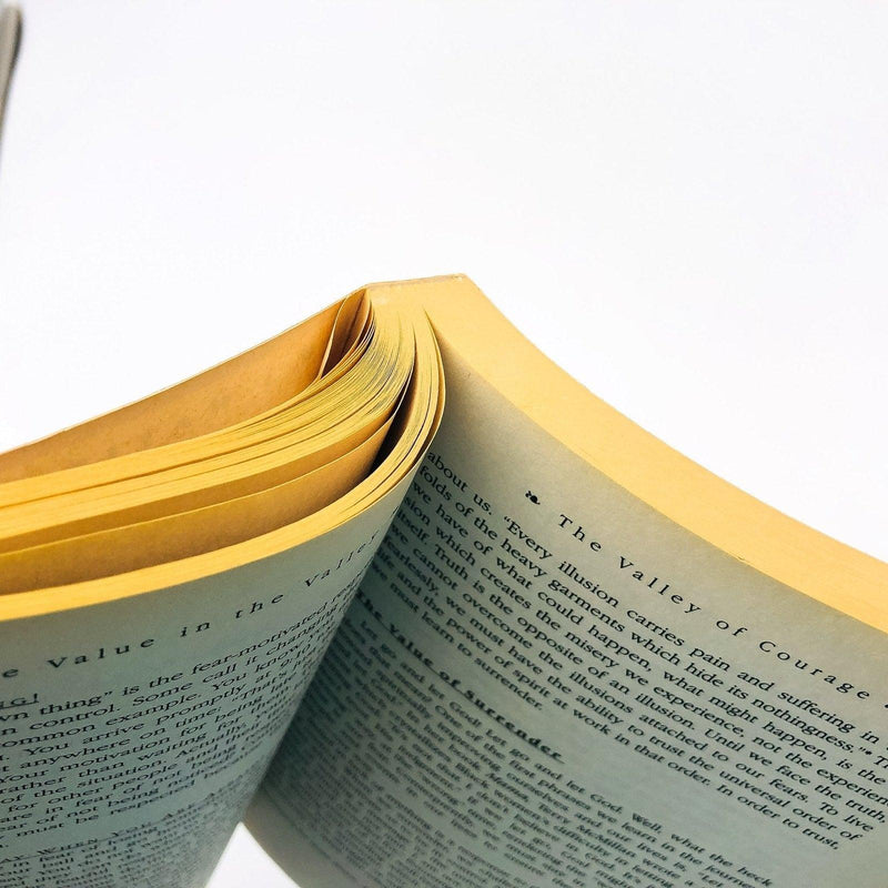 The Value In The Valley Paperback Iyanla Vanzant 1996 Life Skills Guides Woman 9