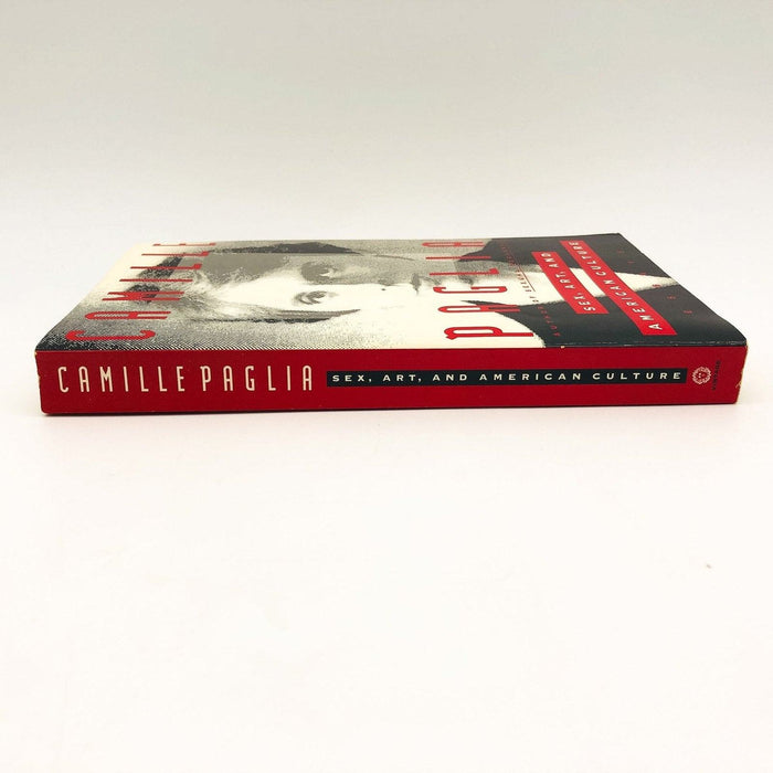 Sex Art and American Culture Paperback Camille Paglia 1992 Popular Culture 3