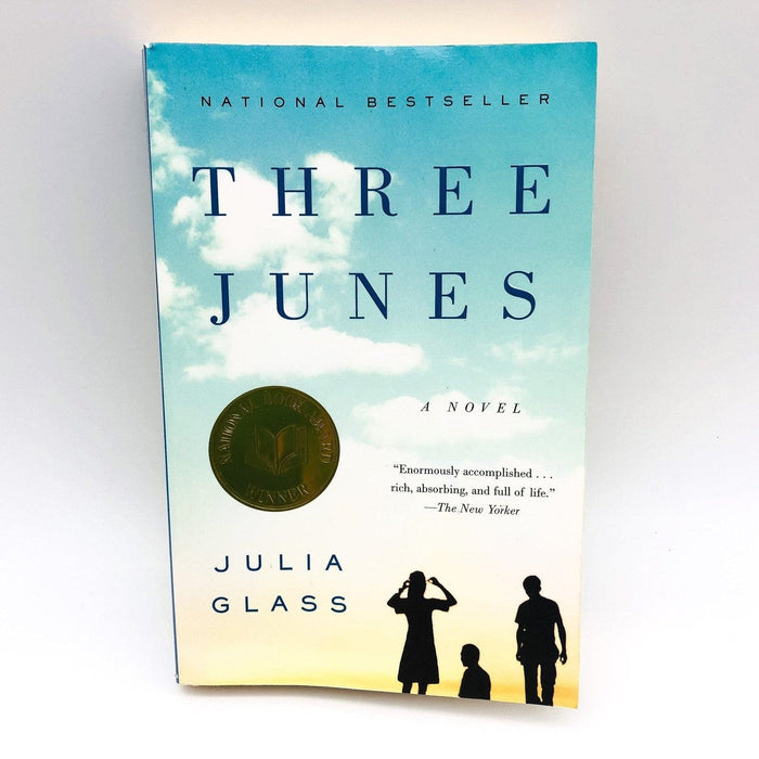 Three Junes Paperback Julia Glass 2002 Fathers Sons Scotland Family Crisis 1