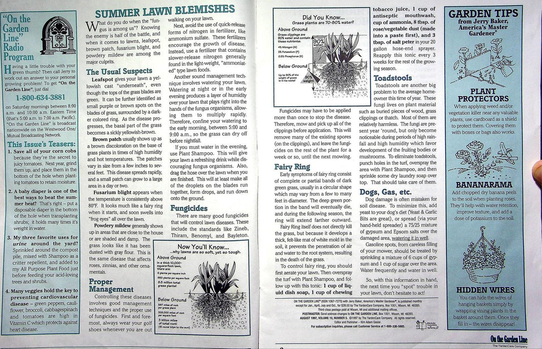 On The Garden Line Magazine August 1997 Summer Lawn Blemishes, Bug Control