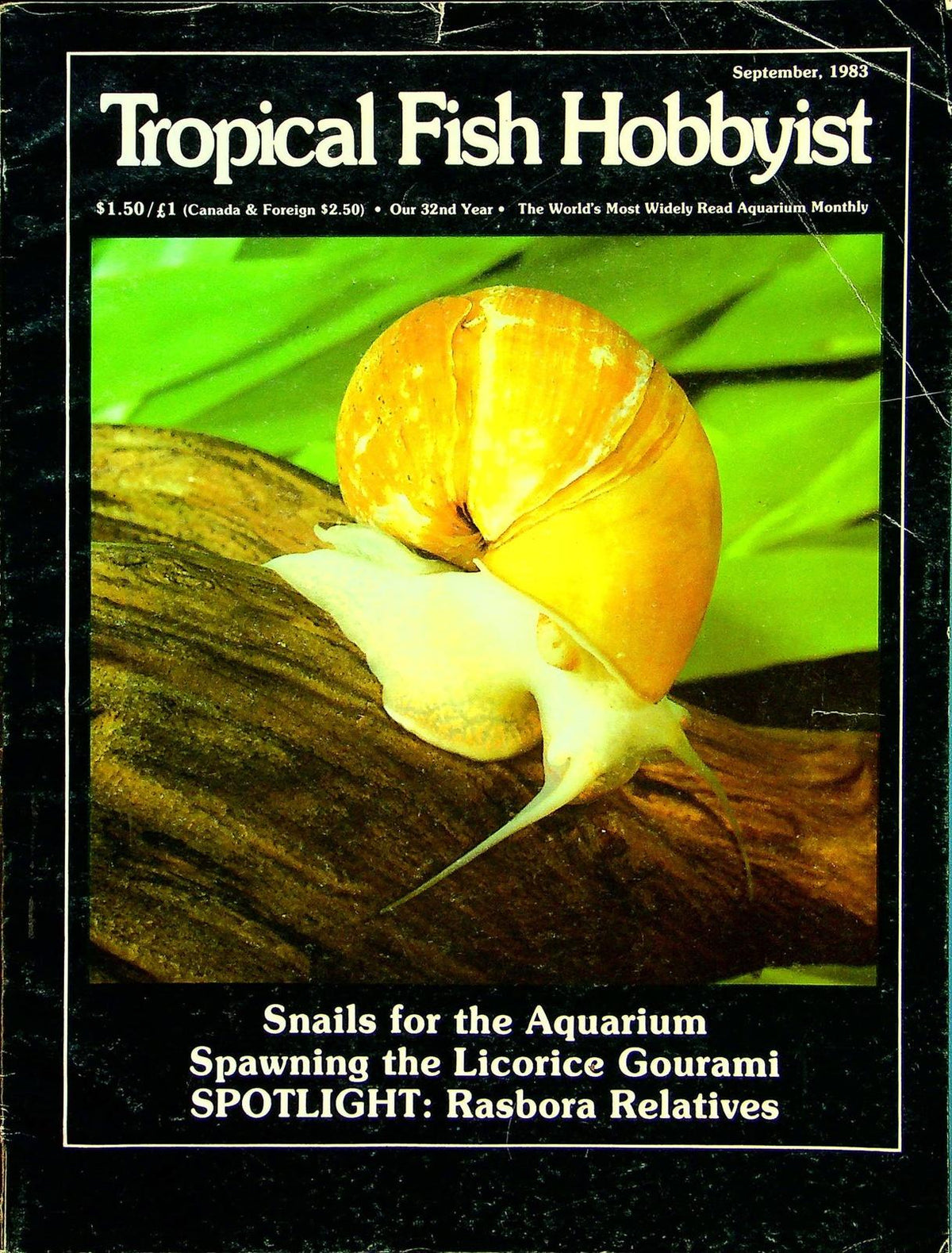 Tropical Fish Hobbyist Magazine Sept 1983 Vol XXXII No 1 Snails for th ...
