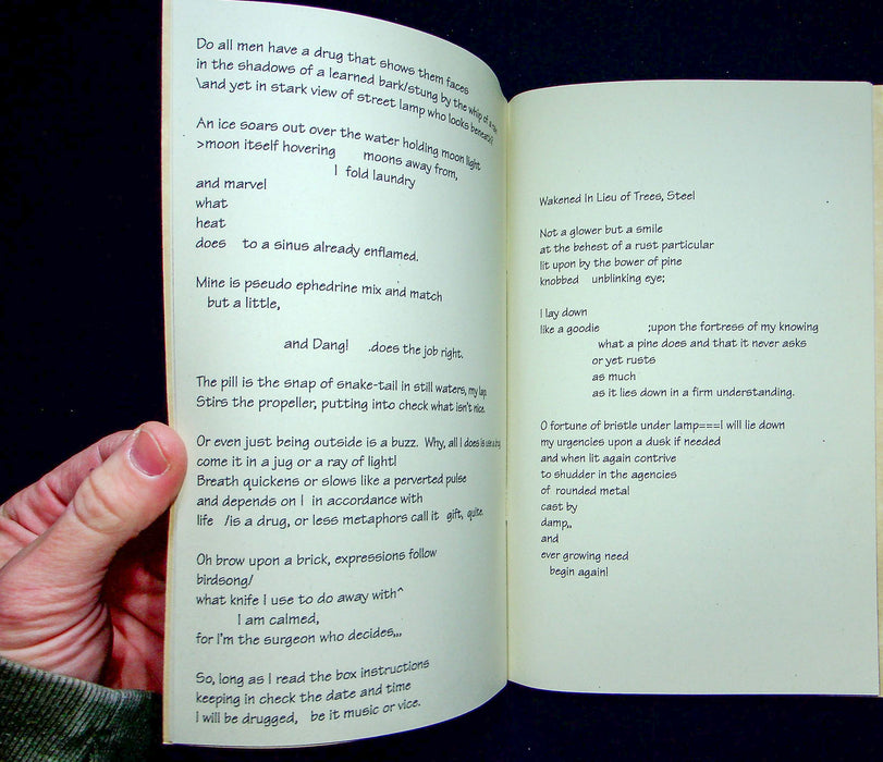 Zine Poetry Seam Discovery Mining Lists Poems 2004 Bree Cleveland OH DIY Culture