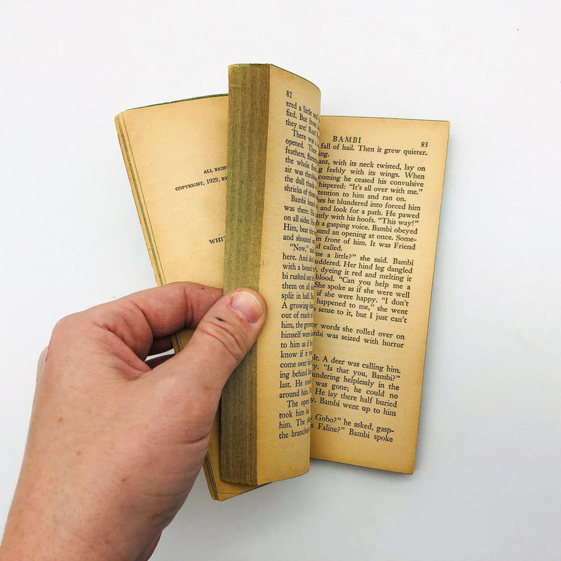 Felix Salten Book Bambi Paperback 1966 Losing Parents Love Death Wild Roe Deer 9