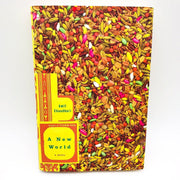 A New World Hardcover Amit Chaudhuri 2000 India Child Custody Father Sons 1