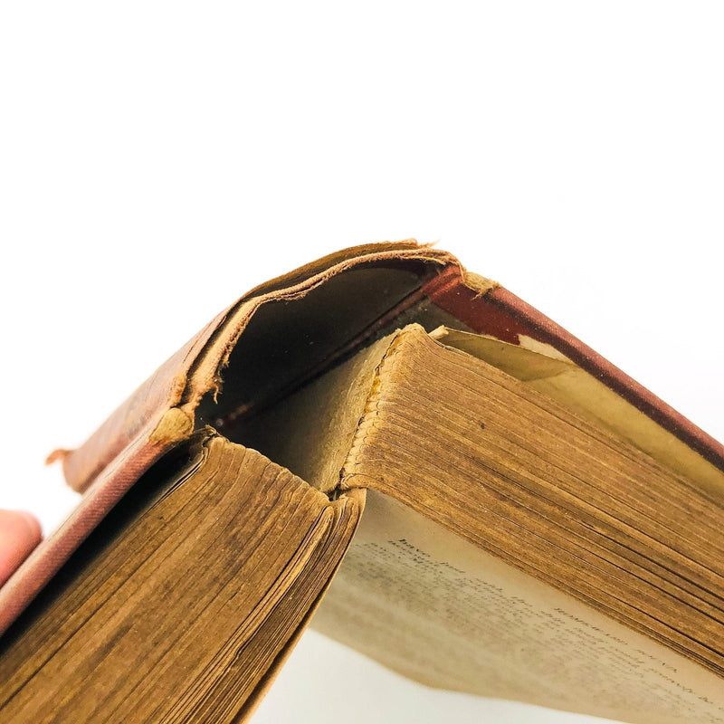 Homeward Bound Or The Chase Hardcover J. Fenimore Cooper 1880 A Tale Of The Sea 9