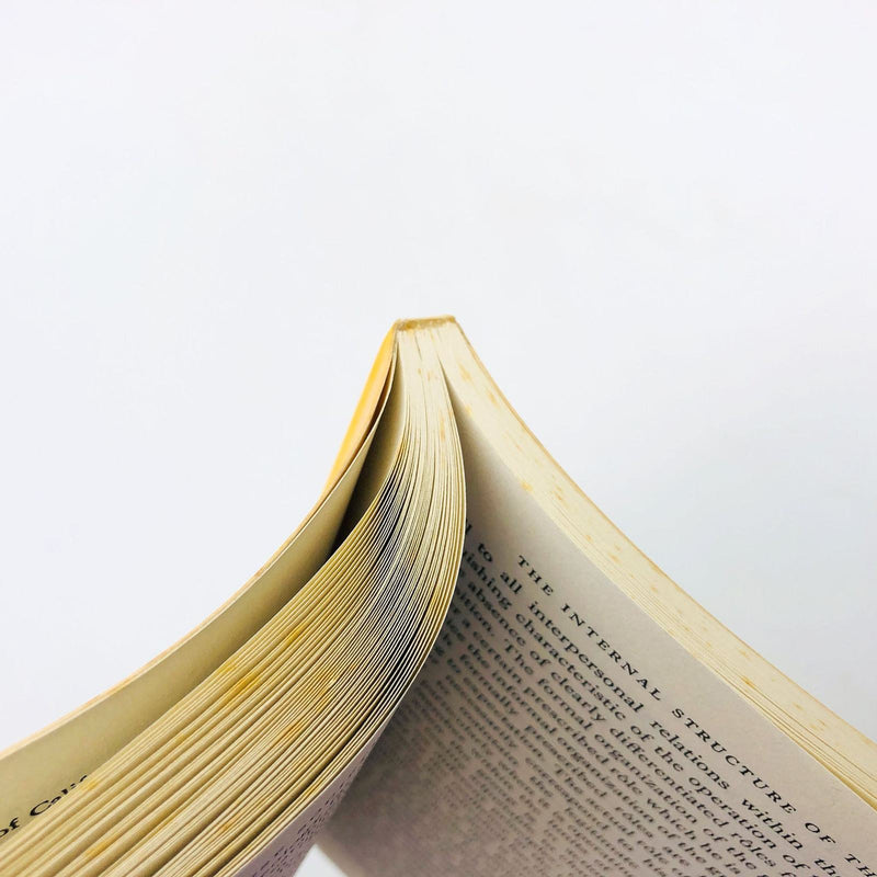 Japanese Society Paperback Chie Nakane 1972 1st Edition Cultural Studies Customs 10