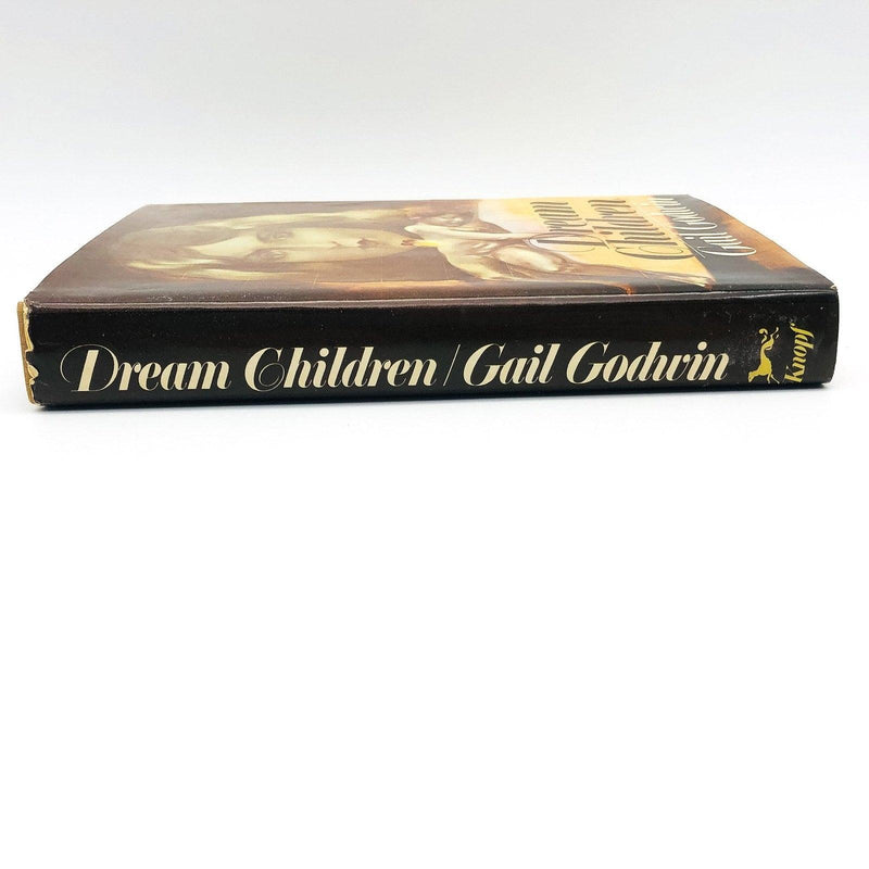 Dream Children Hardcover Gail Godwin 1976 Childless Women Life Crisis 1st Editio 3