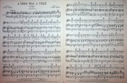 A Tree Was A Tree Sheet Music Harry Revel Mack Gordon 1933 Piano Vocal Song 3