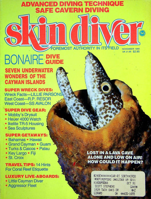 Skin Diver Magazine Nov 1990 Vol 39 No 11 Bonaire Dive Guide 1