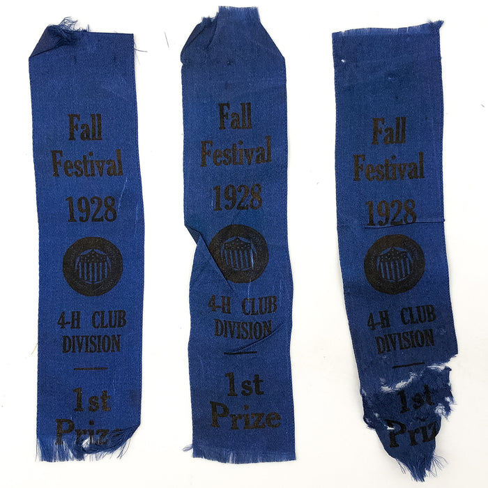 1920s 4-H Club Division Ribbons Fall Festival 1st Prize Winner Blue Vintage