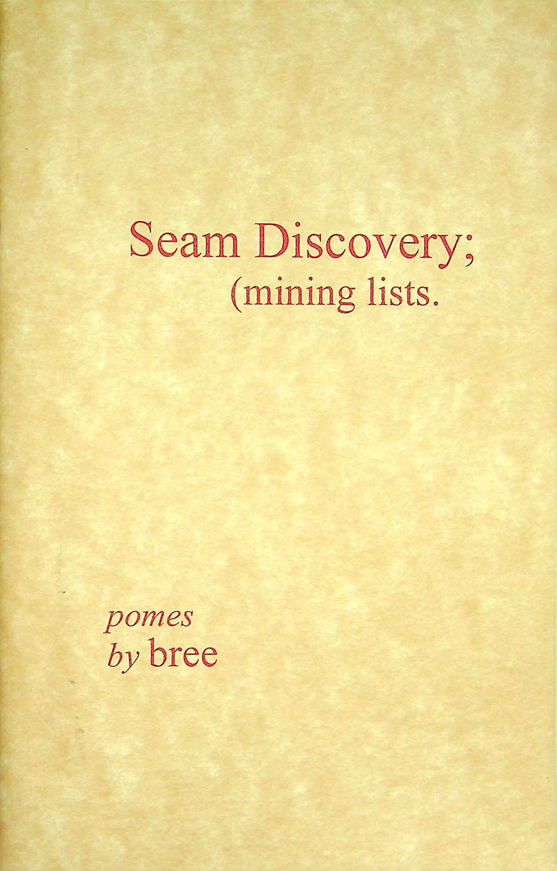 Zine Poetry Seam Discovery Mining Lists Poems 2004 Bree Cleveland OH DIY Culture