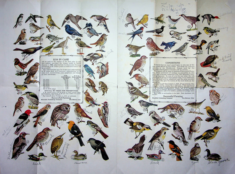 1930 Successful Farming Magazine Bird Contest Instructions Sheet Paper Iowa