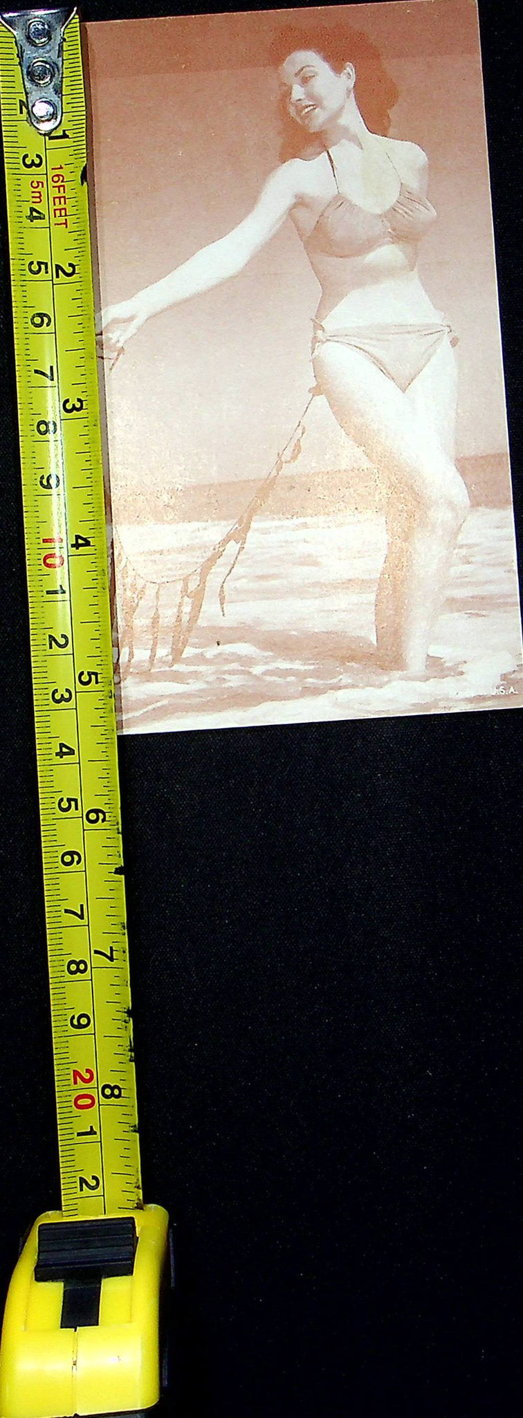 US 50s Pin Up Promo Photo Card Woman Model Bikini Swimsuit Beach Shore Seaweed