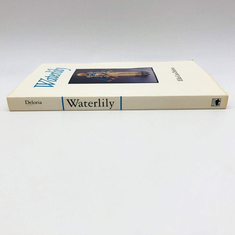 Waterlily Paperback Ella Cara Deloria 1988 Agnes Picotte Biographical Sketch 3