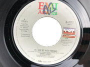 David Lasley 45 RPM 7" Single If I Had My Wish Tonight / There's Got To Be... 2