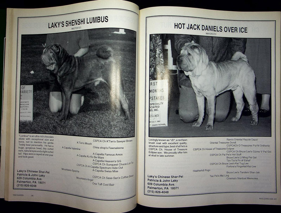 The Barker Magazine May June 1993 Shar-Pei Dog Stud Brood Revues AKC News Shows